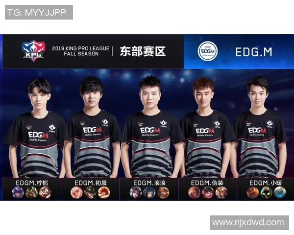 王者荣耀EDG战队节奏解析与战略深度剖析实时新闻